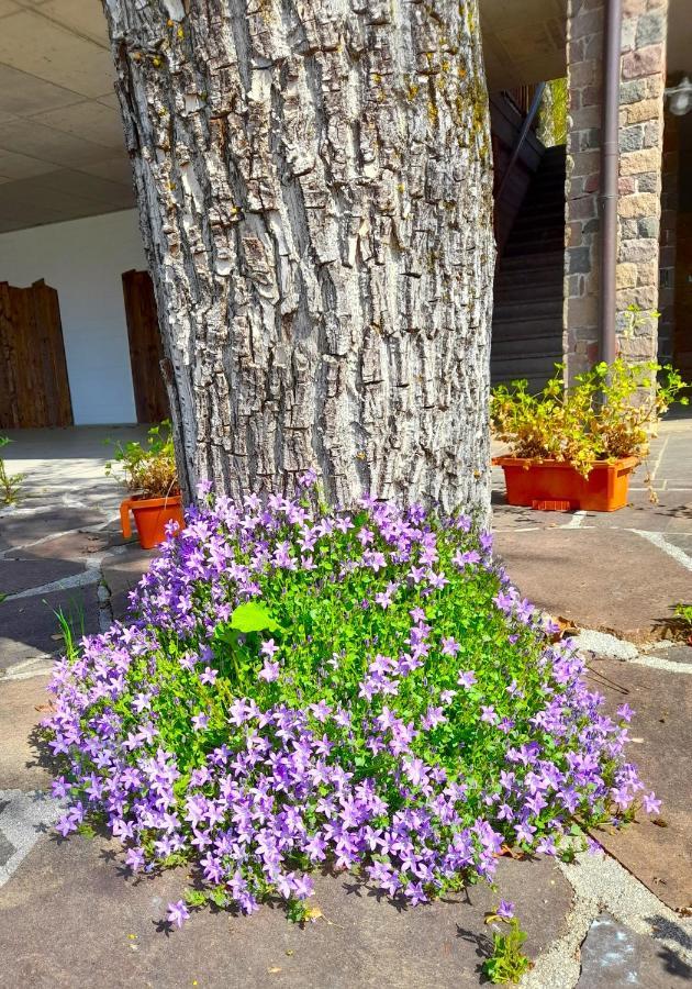 B&B Chalet Dolomiti Sant'Orsola Exterior photo